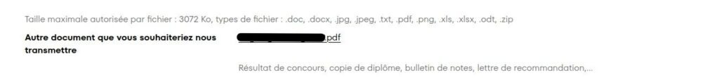 une fois un document envoyé impossible d'en envoyer un autre ou de le changer