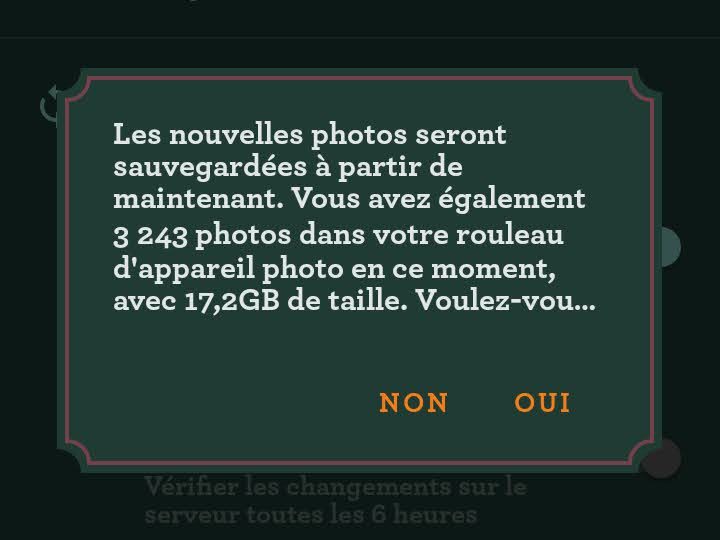 Un message avec la fin tronqué.
"Les nouvelles photos seront sauvegardées à partir de maintenant. Vous avez également 3243 photos dans votre rouleau d'appareil photo en ce moment, avec 17,2GB de taille. Voulez-vou…"
Et deux choix de réponse
"NON et "OUI"